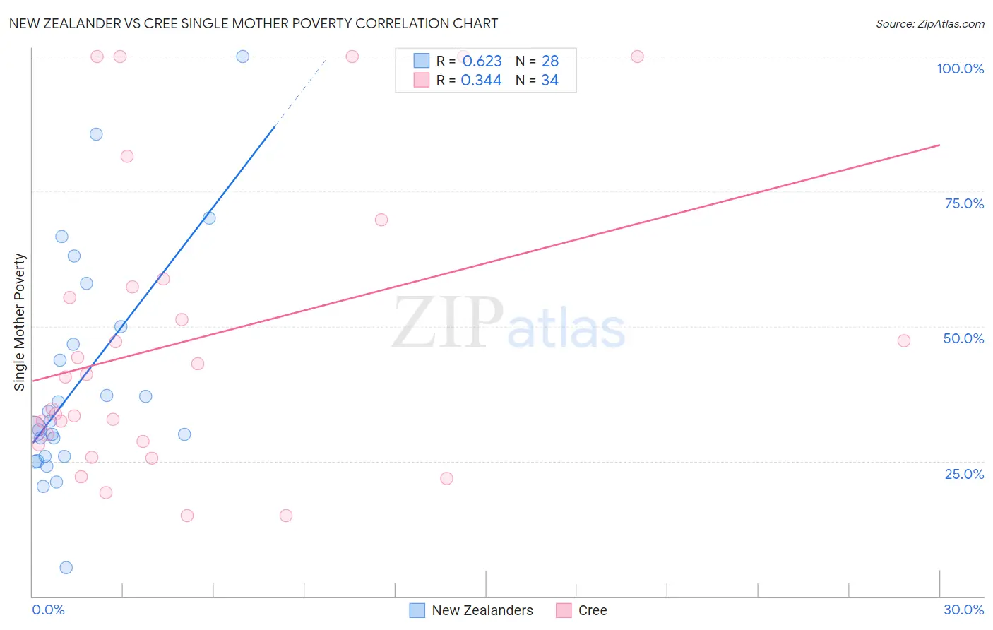 New Zealander vs Cree Single Mother Poverty