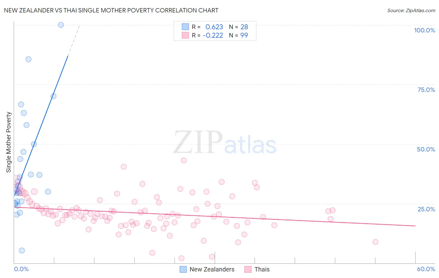 New Zealander vs Thai Single Mother Poverty