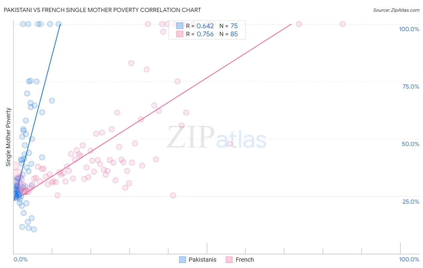 Pakistani vs French Single Mother Poverty