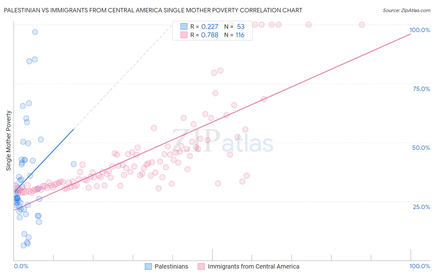 Palestinian vs Immigrants from Central America Single Mother Poverty
