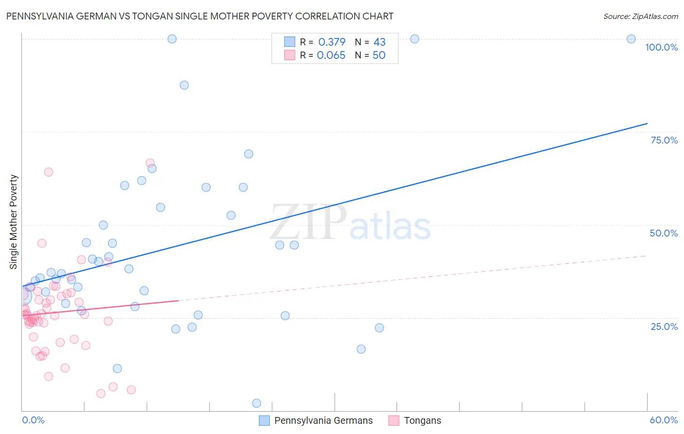 Pennsylvania German vs Tongan Single Mother Poverty