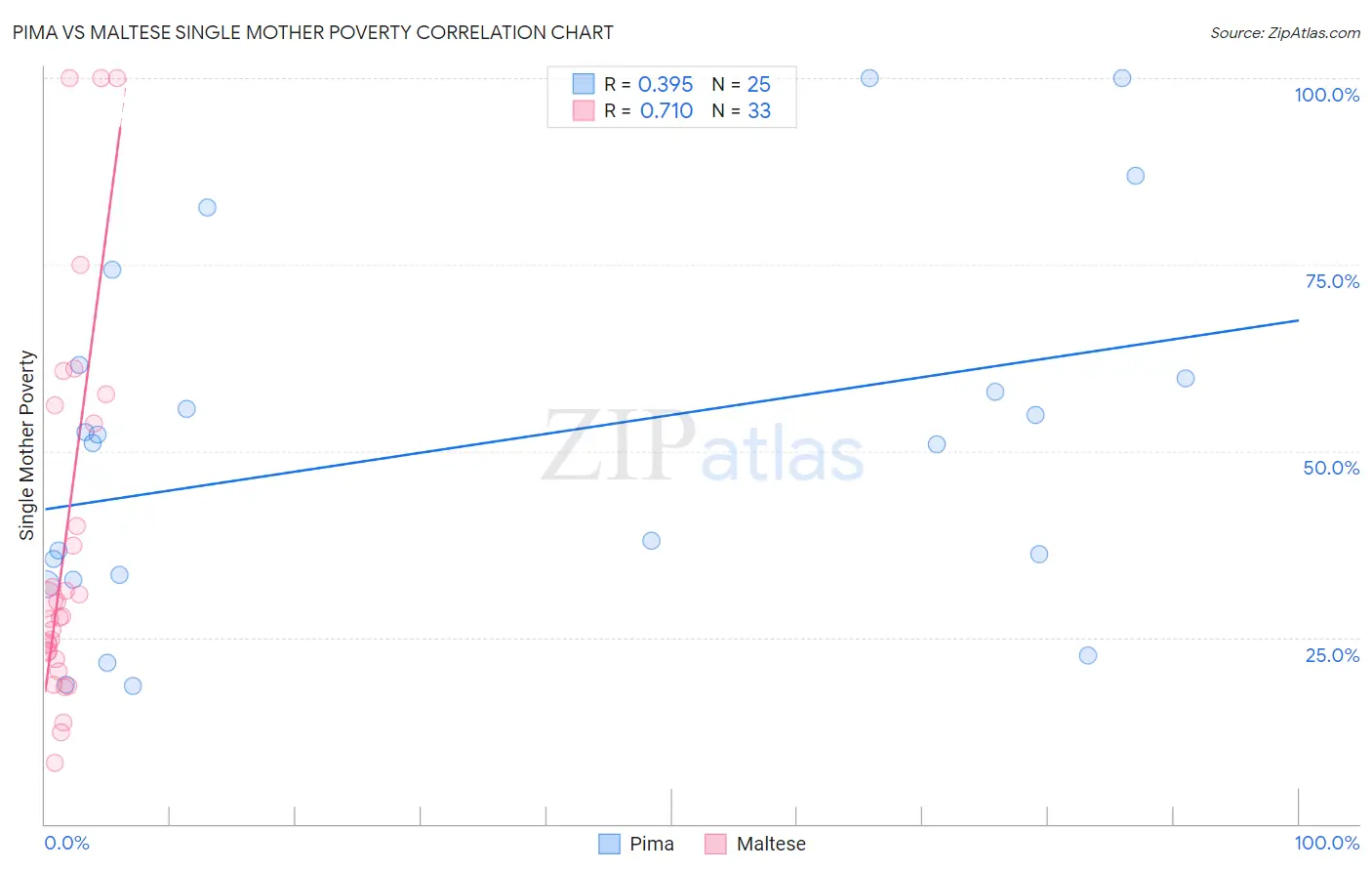 Pima vs Maltese Single Mother Poverty