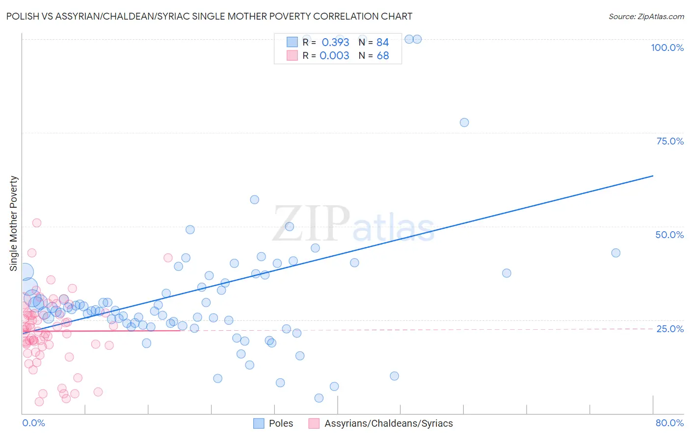Polish vs Assyrian/Chaldean/Syriac Single Mother Poverty