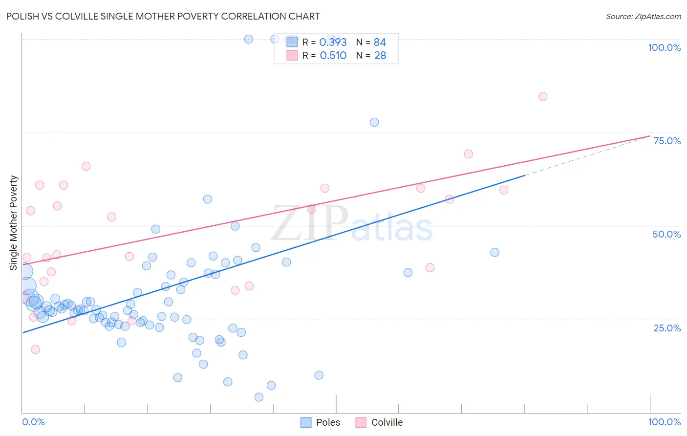 Polish vs Colville Single Mother Poverty