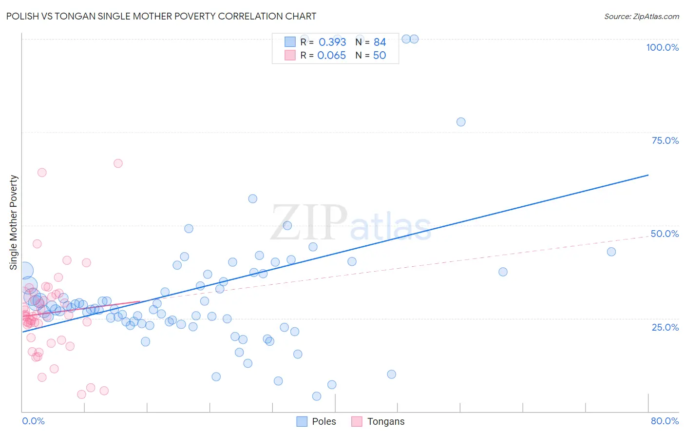 Polish vs Tongan Single Mother Poverty