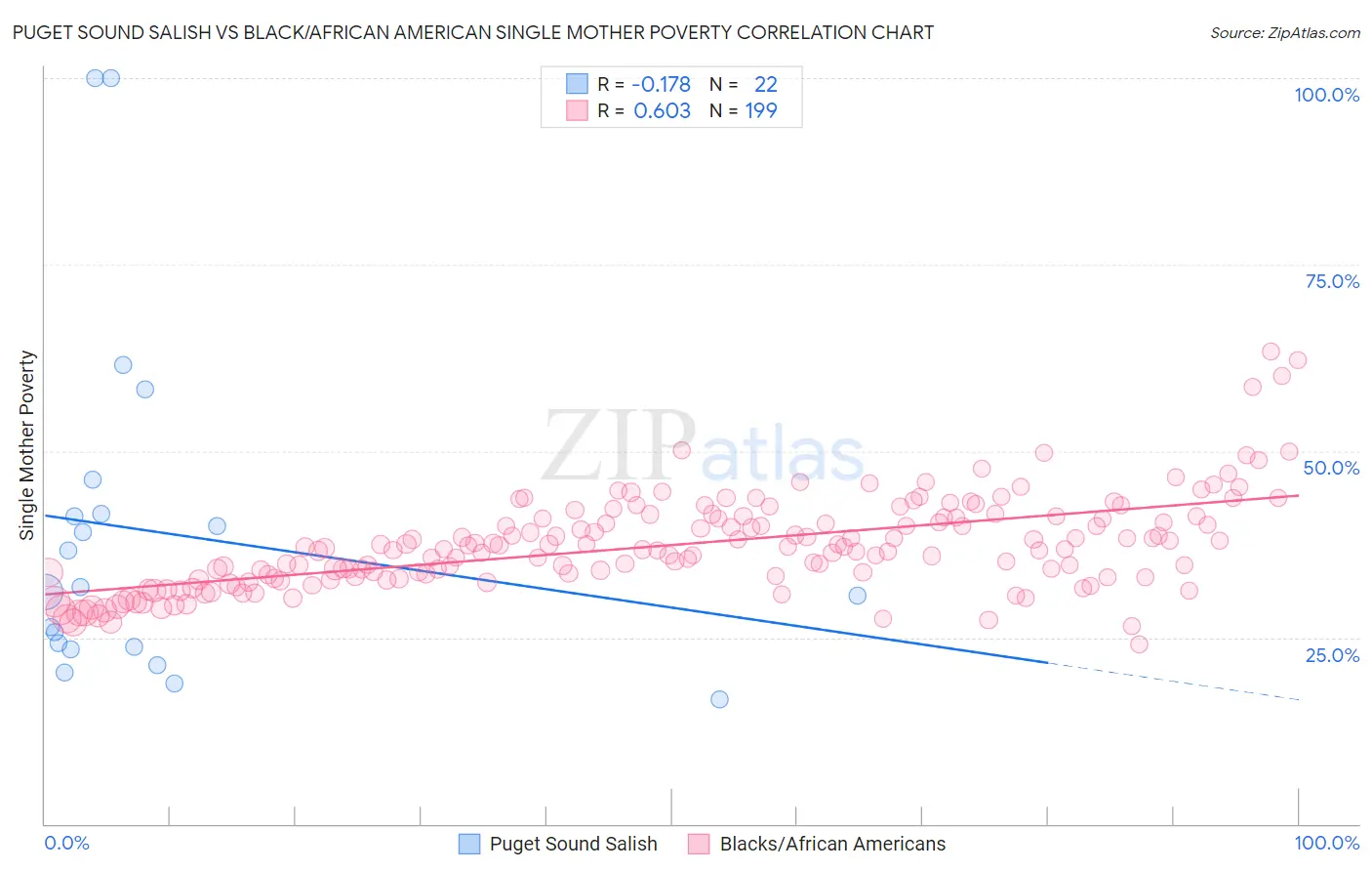 Puget Sound Salish vs Black/African American Single Mother Poverty