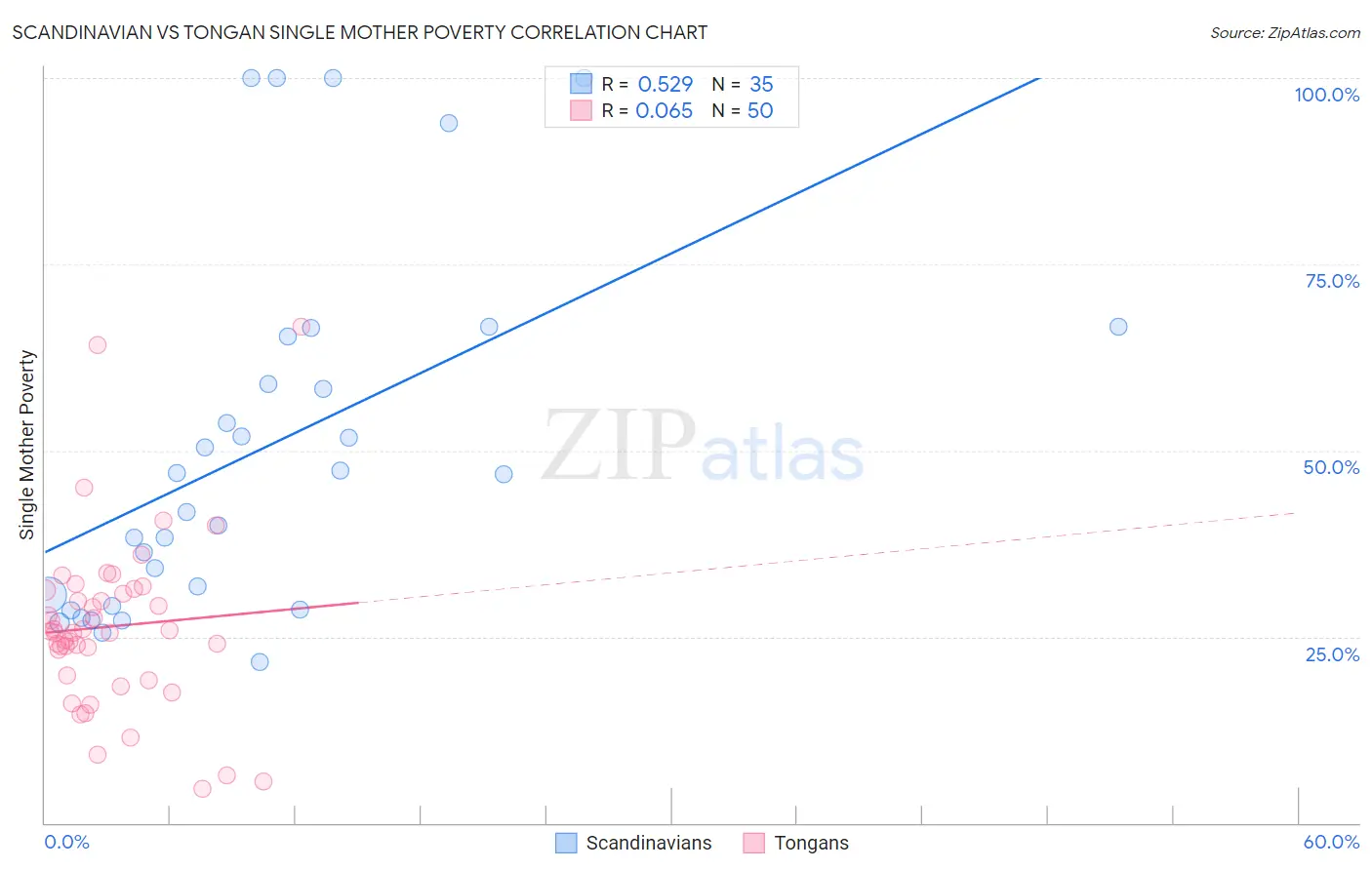 Scandinavian vs Tongan Single Mother Poverty