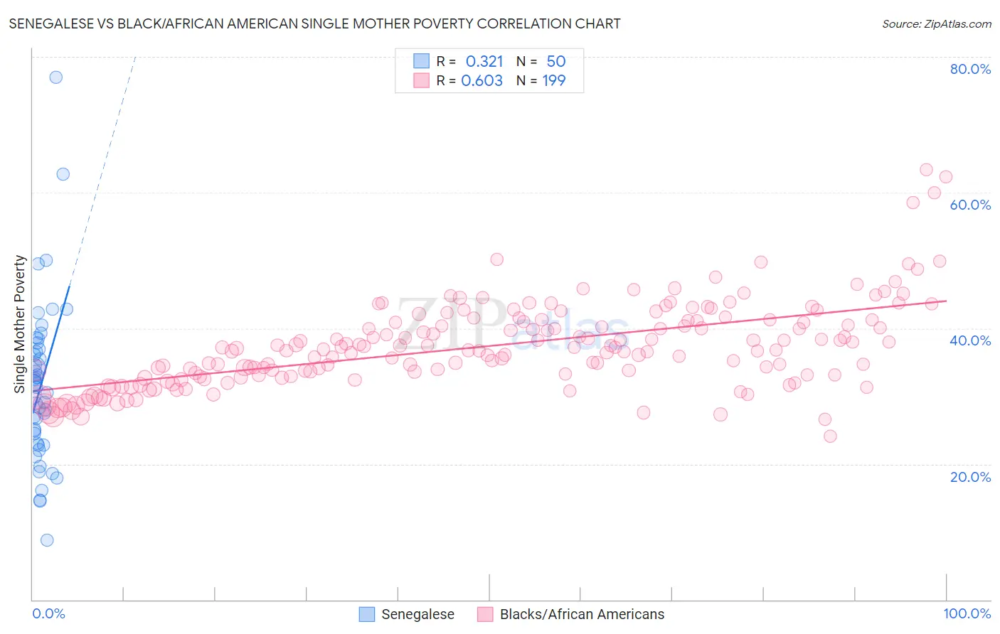 Senegalese vs Black/African American Single Mother Poverty