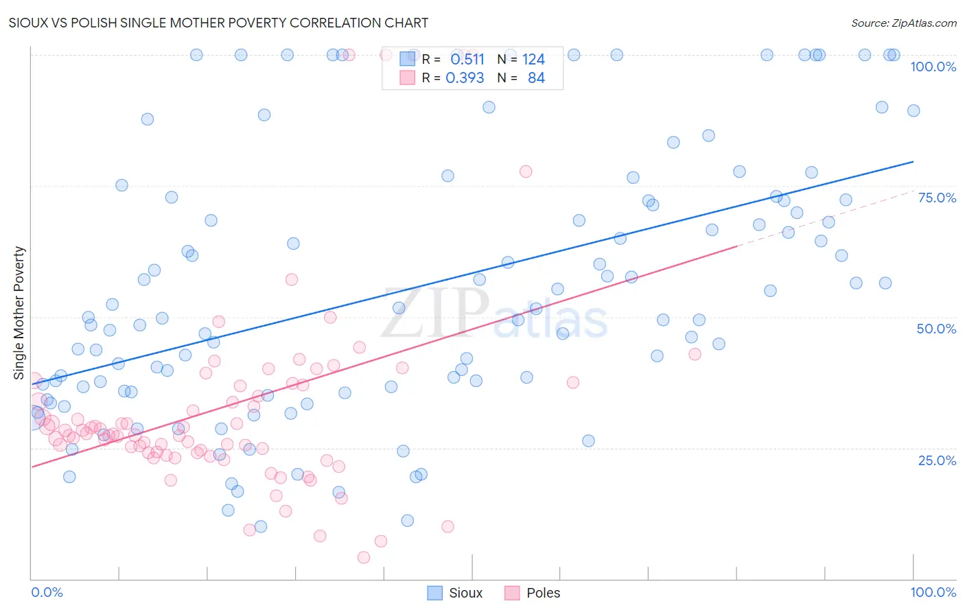 Sioux vs Polish Single Mother Poverty