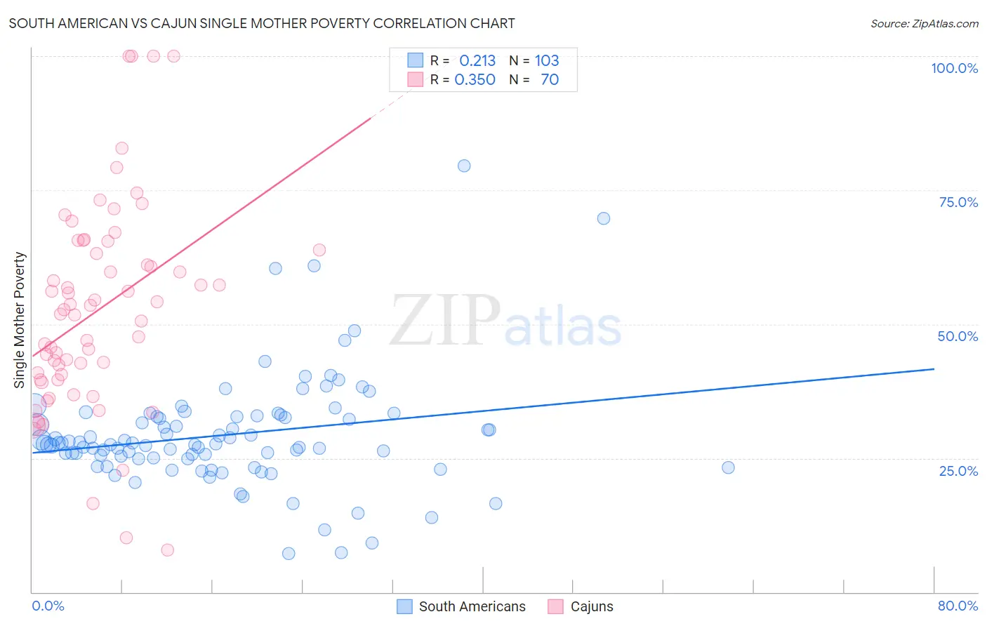 South American vs Cajun Single Mother Poverty