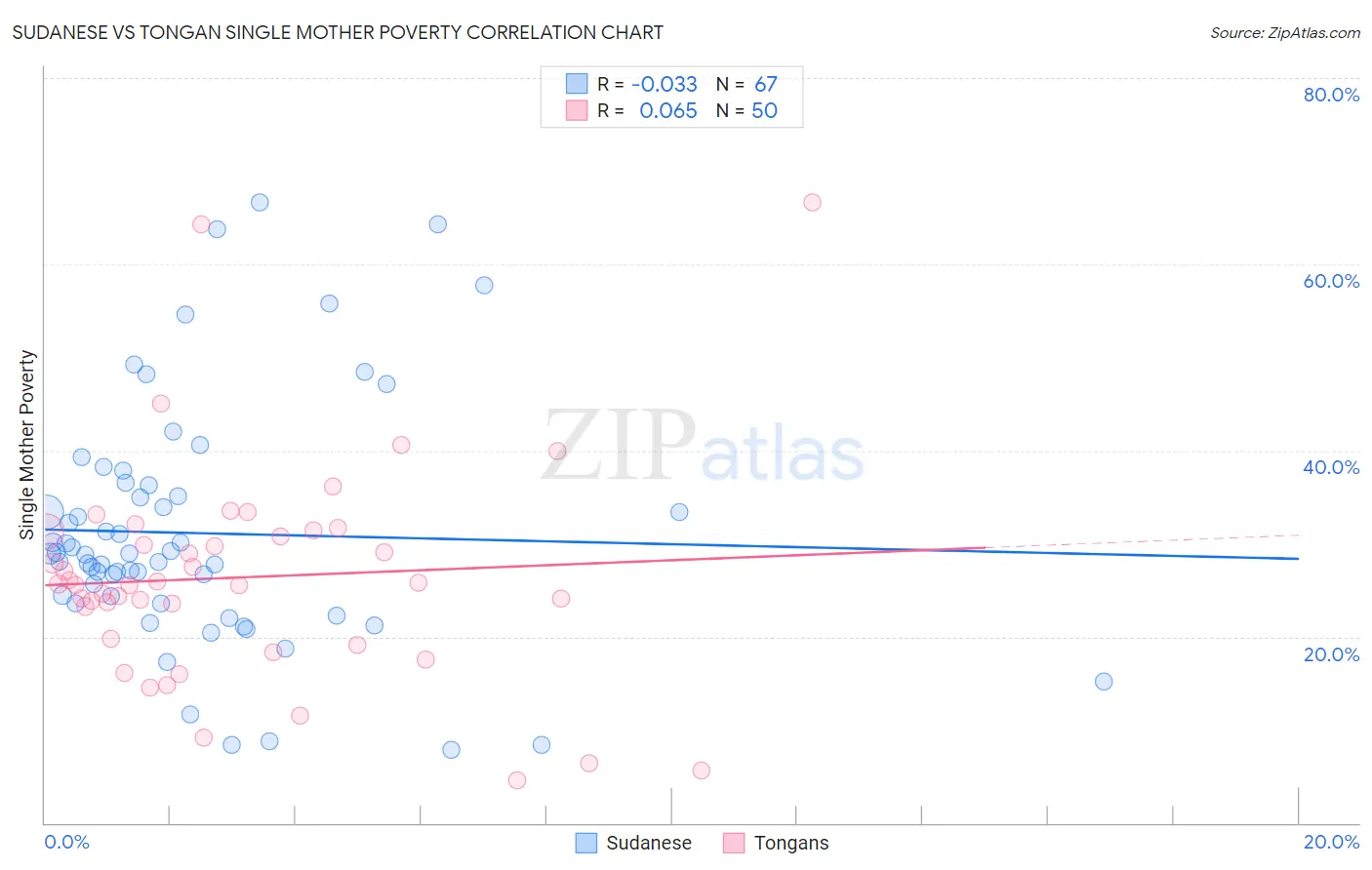 Sudanese vs Tongan Single Mother Poverty