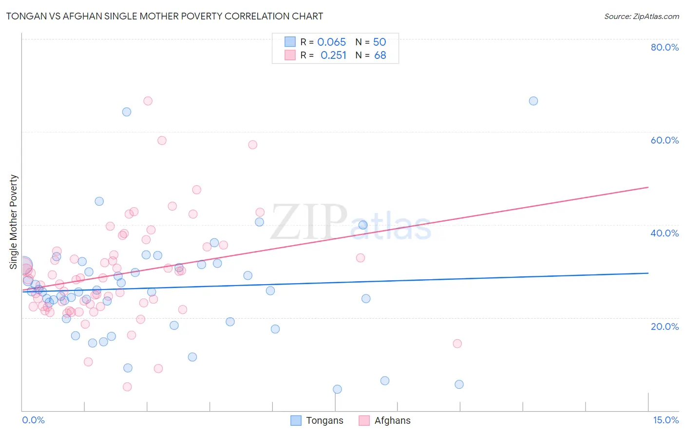 Tongan vs Afghan Single Mother Poverty
