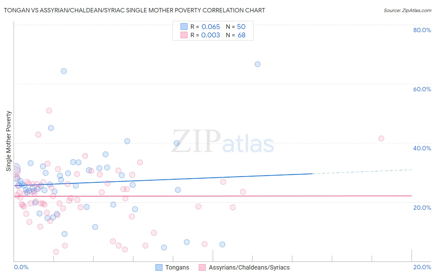 Tongan vs Assyrian/Chaldean/Syriac Single Mother Poverty