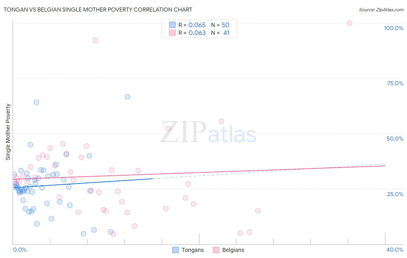 Tongan vs Belgian Single Mother Poverty