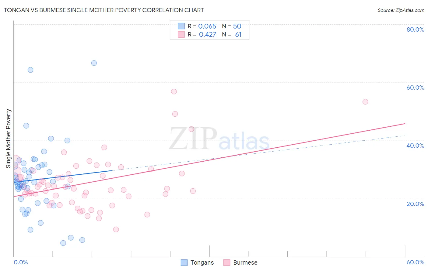 Tongan vs Burmese Single Mother Poverty
