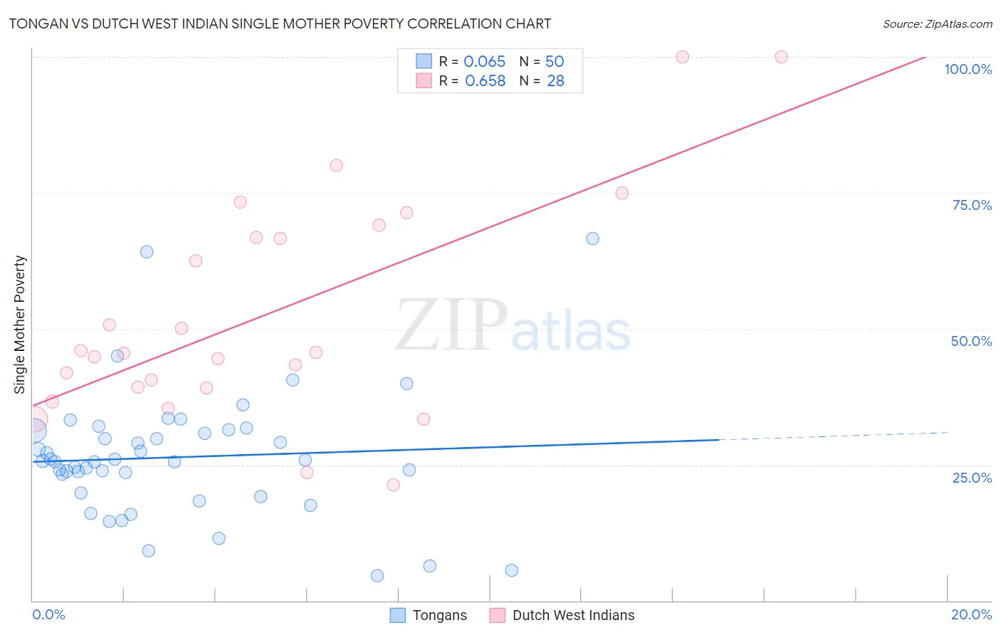 Tongan vs Dutch West Indian Single Mother Poverty