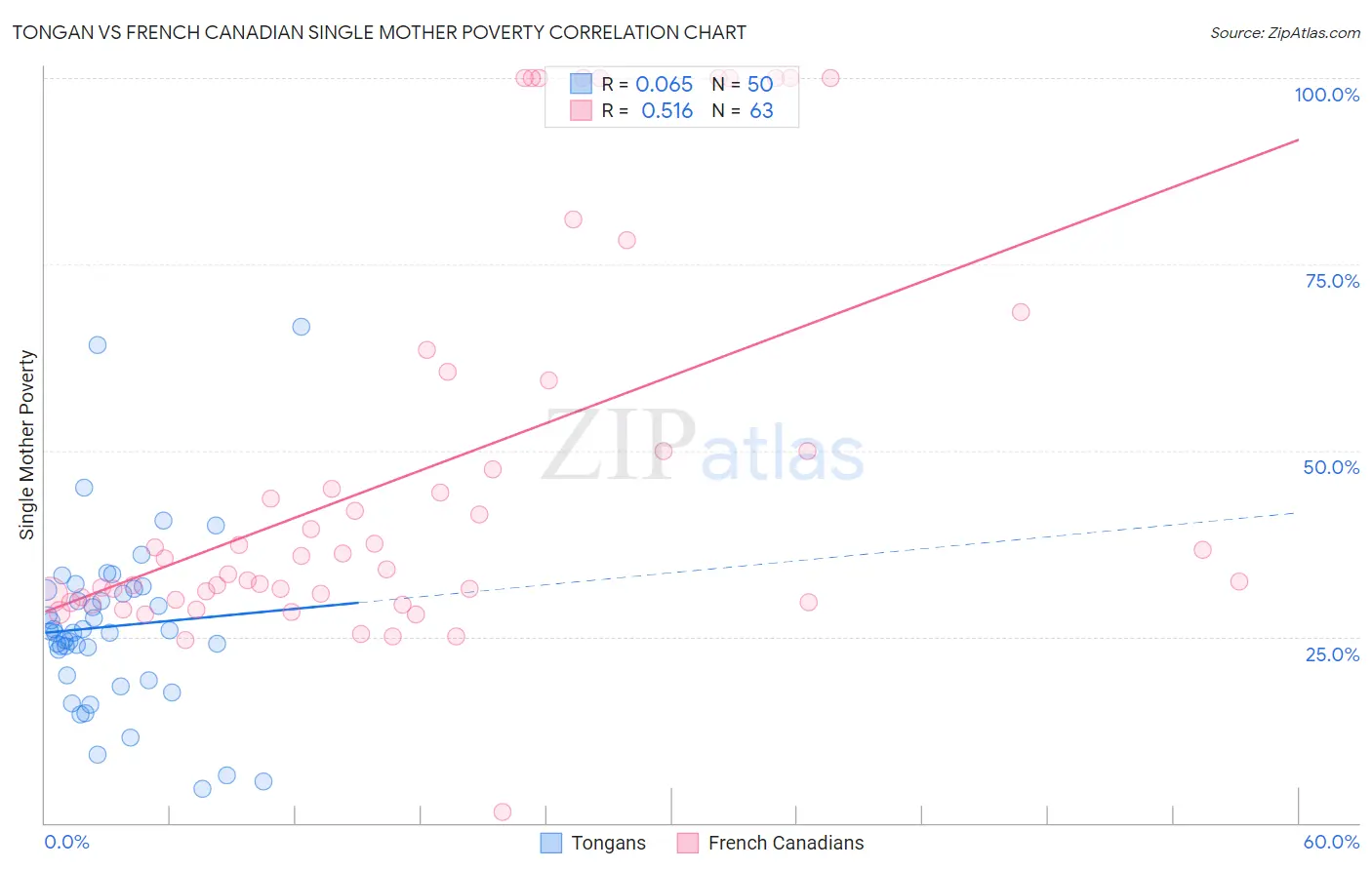 Tongan vs French Canadian Single Mother Poverty