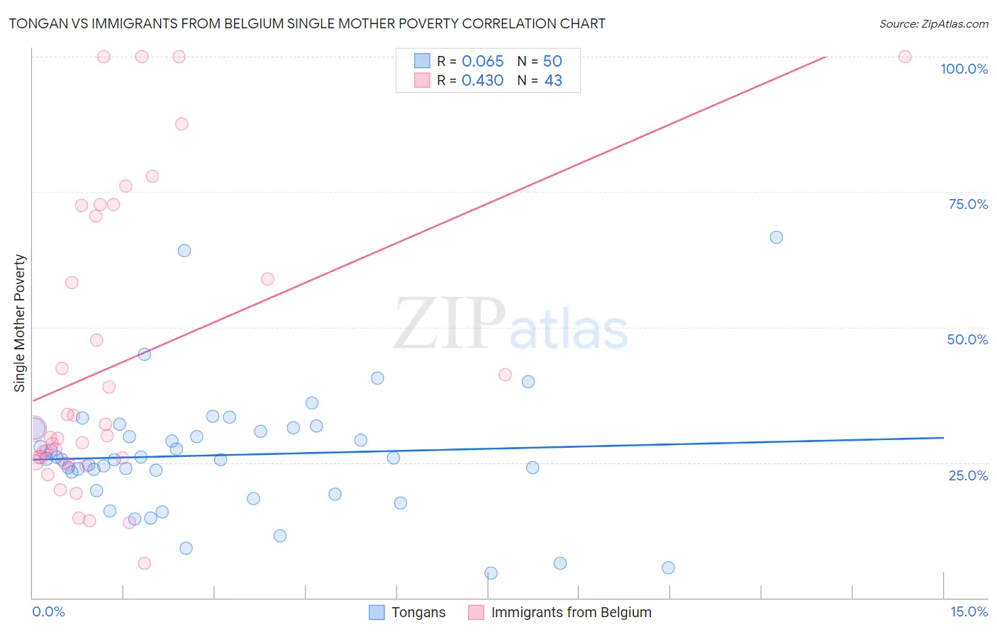 Tongan vs Immigrants from Belgium Single Mother Poverty