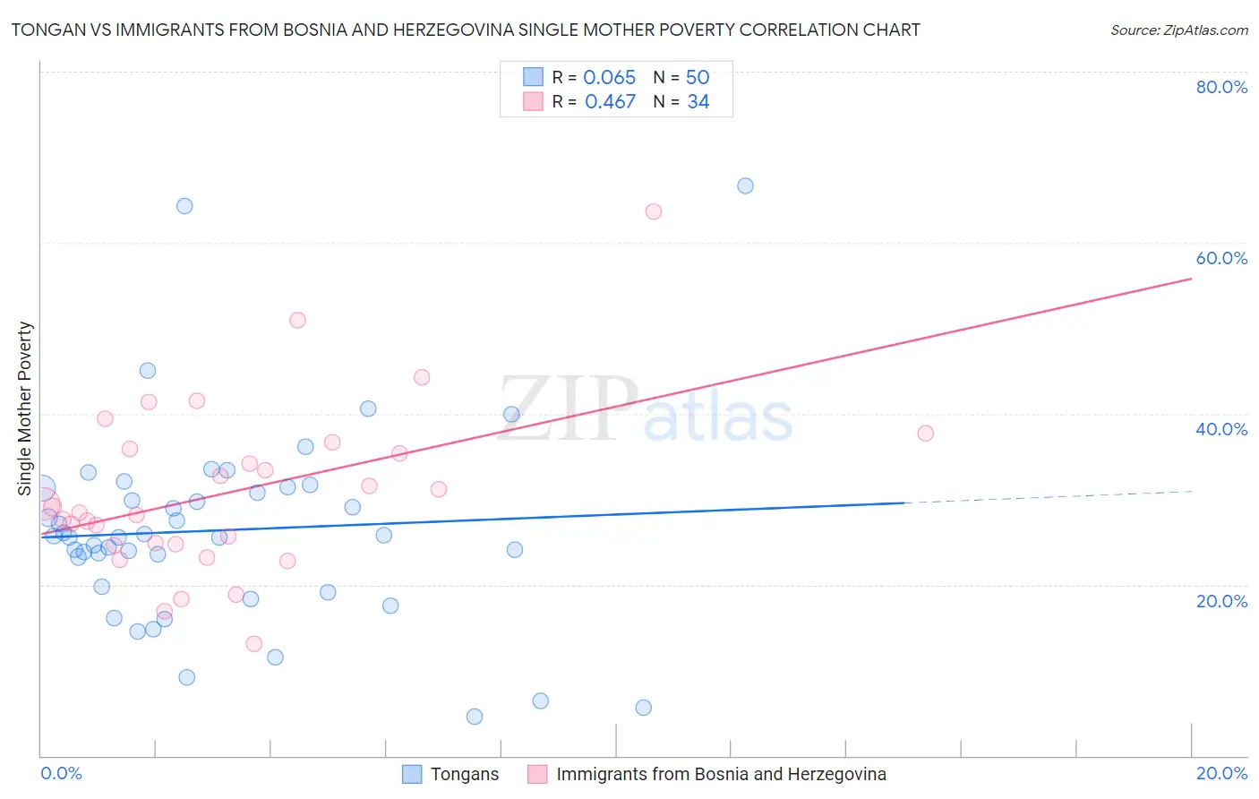 Tongan vs Immigrants from Bosnia and Herzegovina Single Mother Poverty