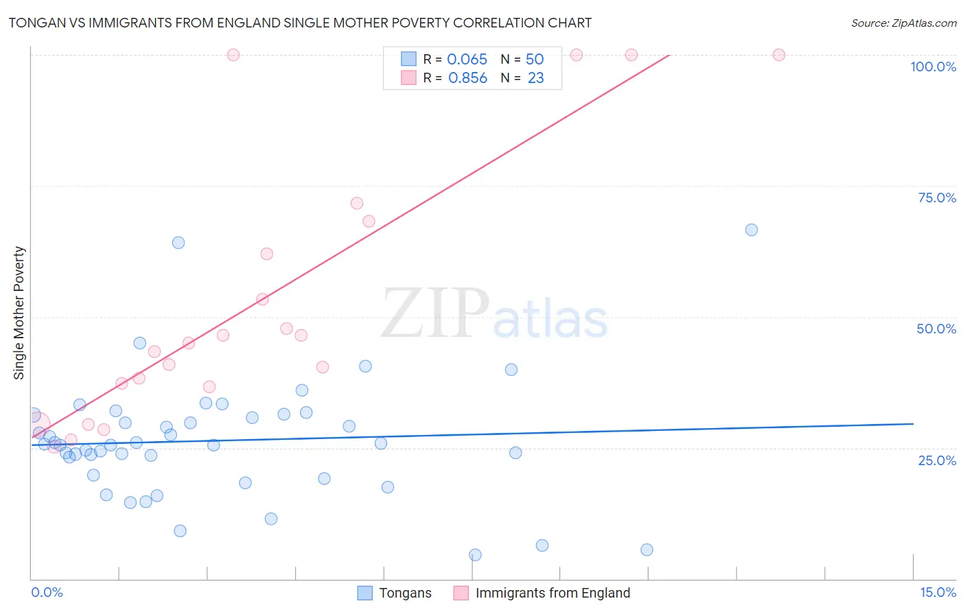 Tongan vs Immigrants from England Single Mother Poverty