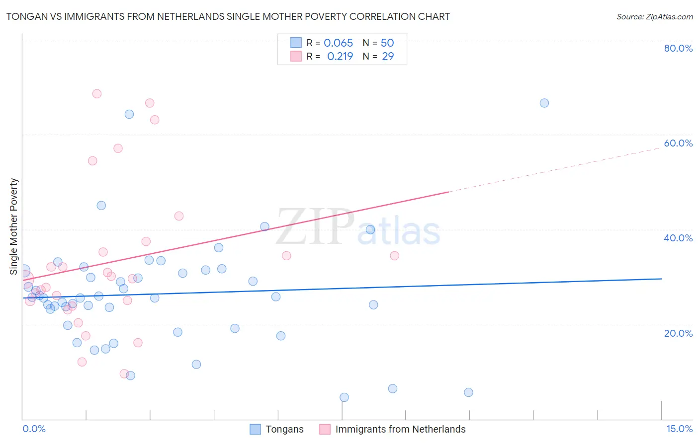 Tongan vs Immigrants from Netherlands Single Mother Poverty