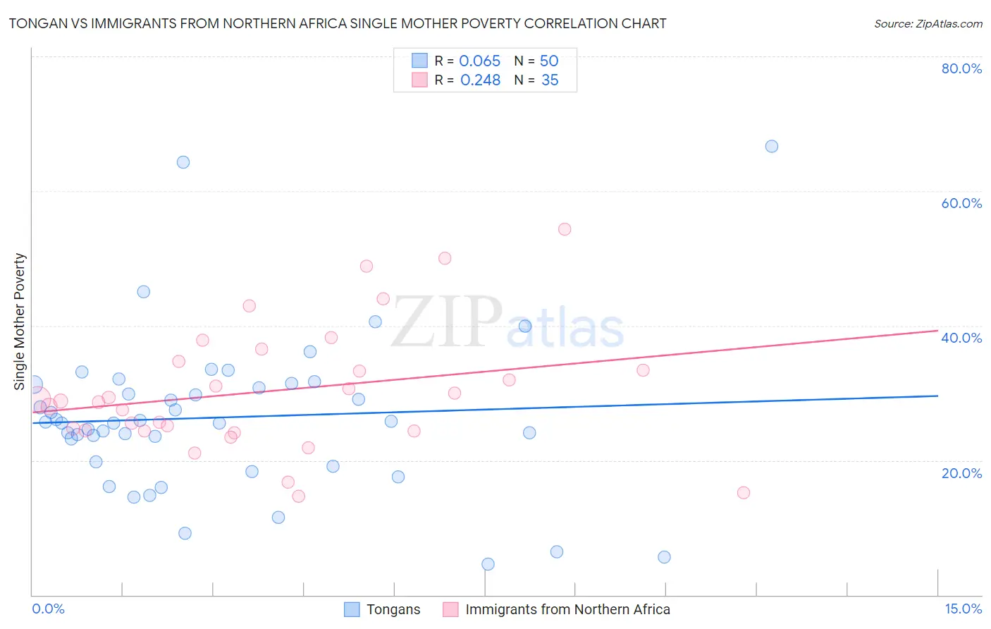 Tongan vs Immigrants from Northern Africa Single Mother Poverty