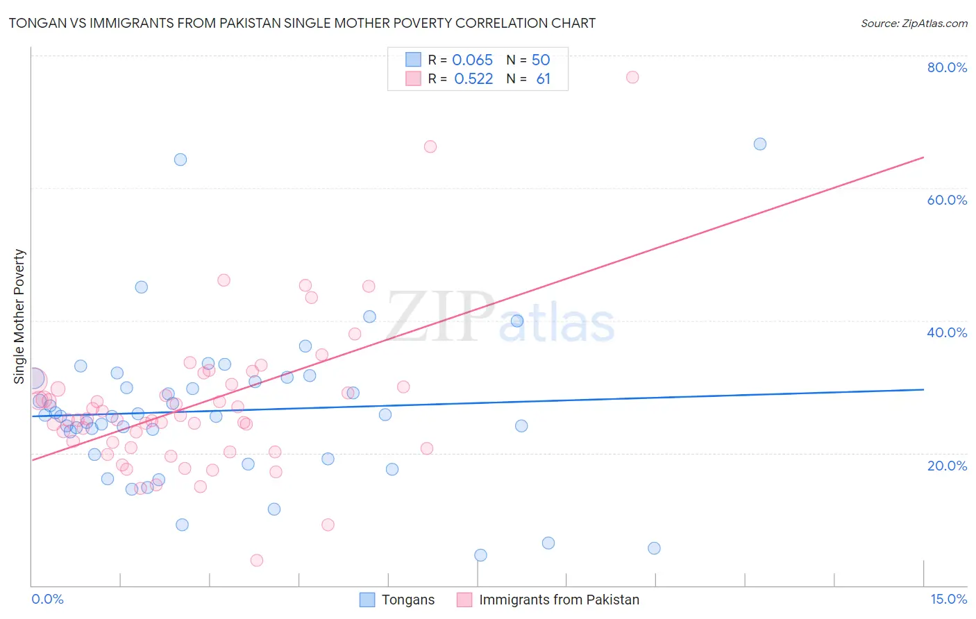 Tongan vs Immigrants from Pakistan Single Mother Poverty