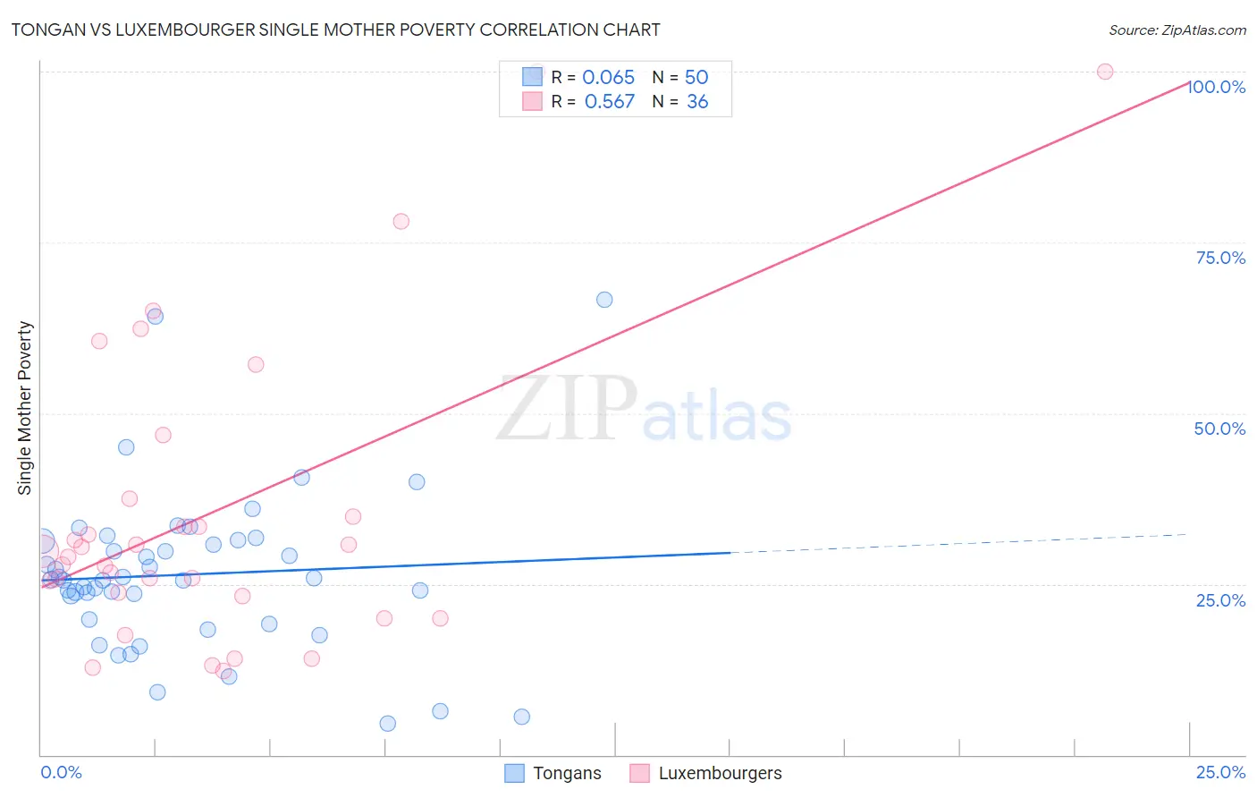 Tongan vs Luxembourger Single Mother Poverty