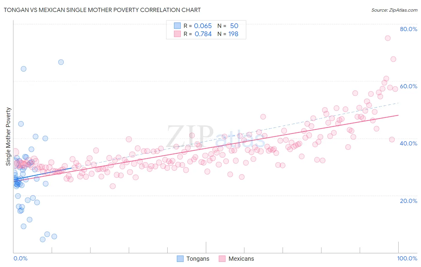 Tongan vs Mexican Single Mother Poverty