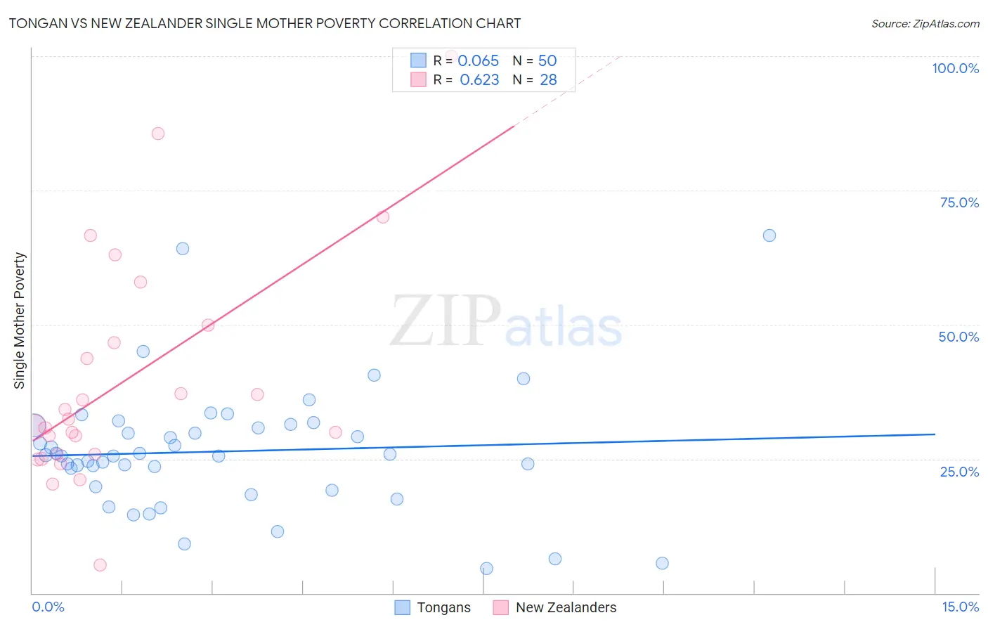 Tongan vs New Zealander Single Mother Poverty