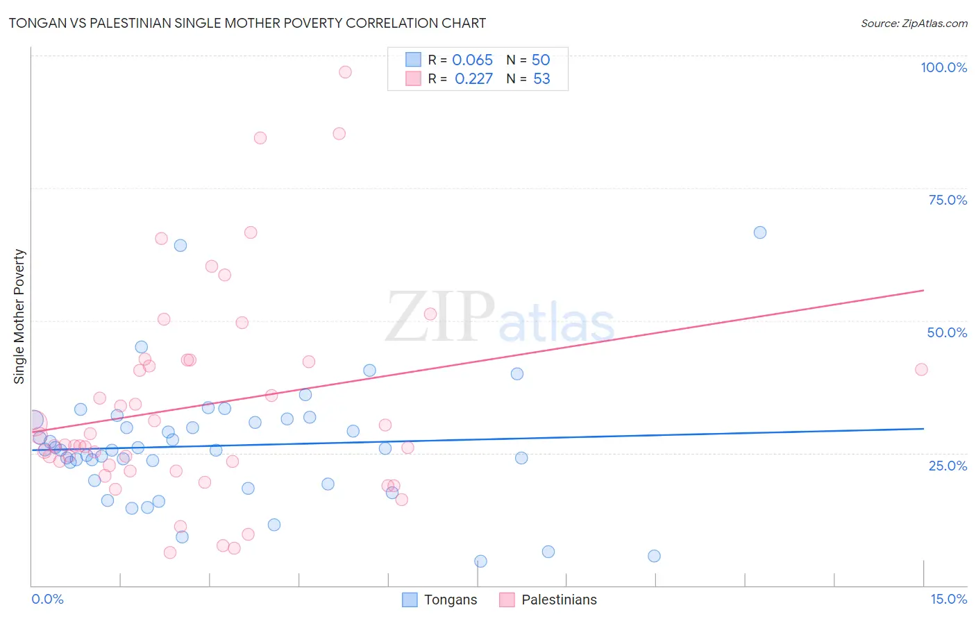 Tongan vs Palestinian Single Mother Poverty