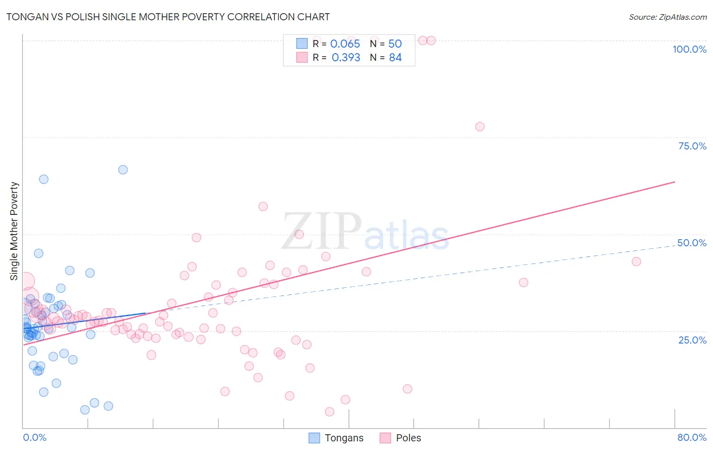 Tongan vs Polish Single Mother Poverty