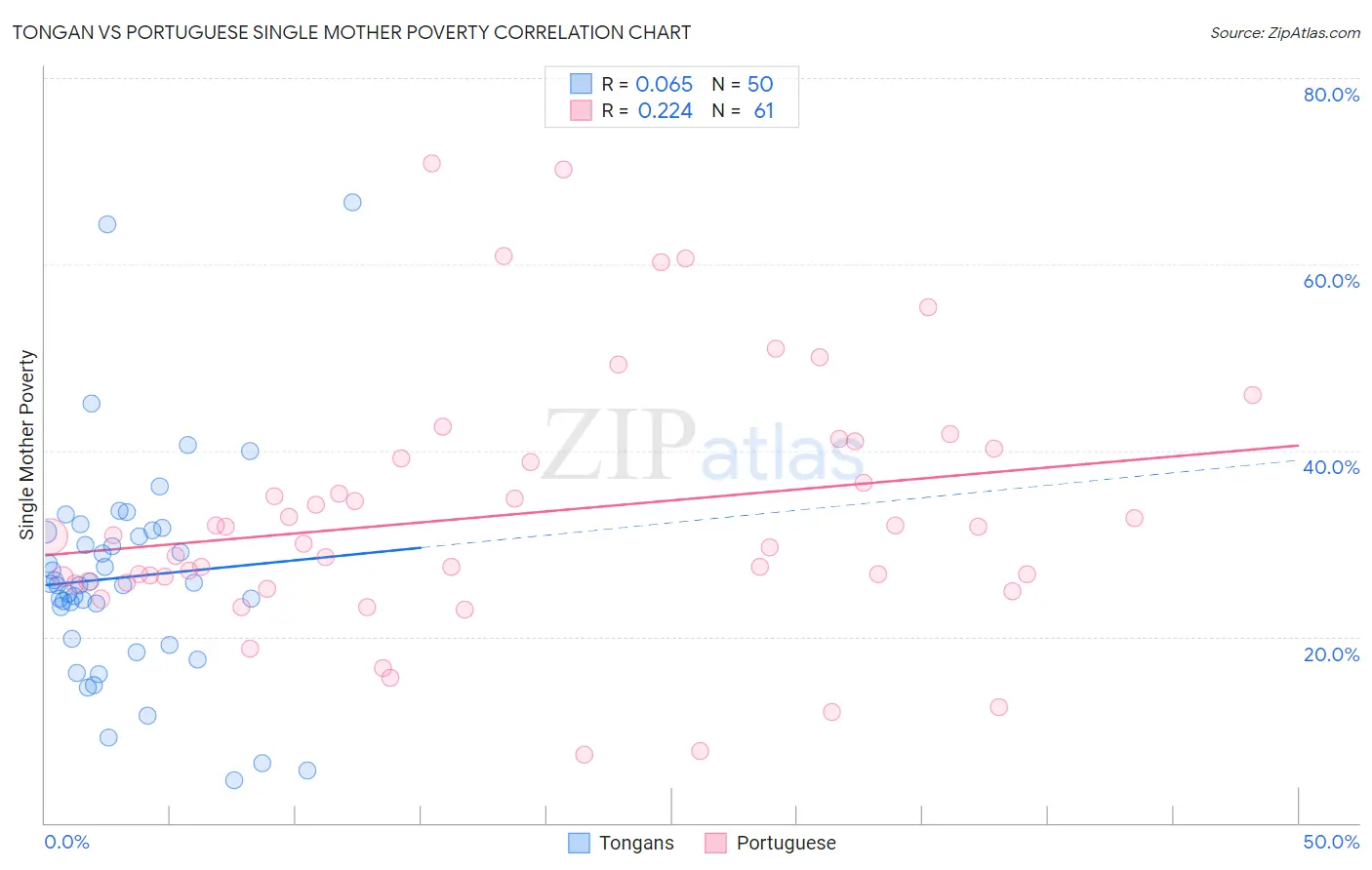 Tongan vs Portuguese Single Mother Poverty