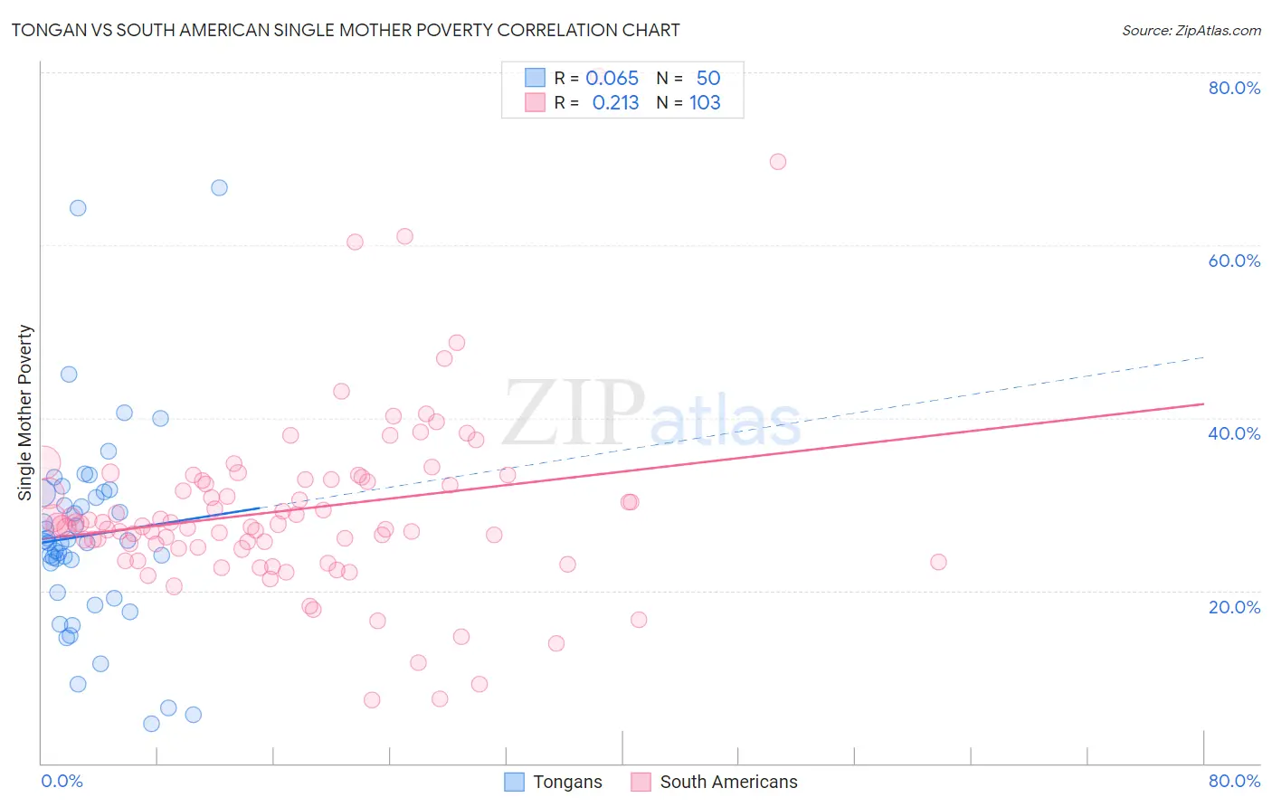 Tongan vs South American Single Mother Poverty