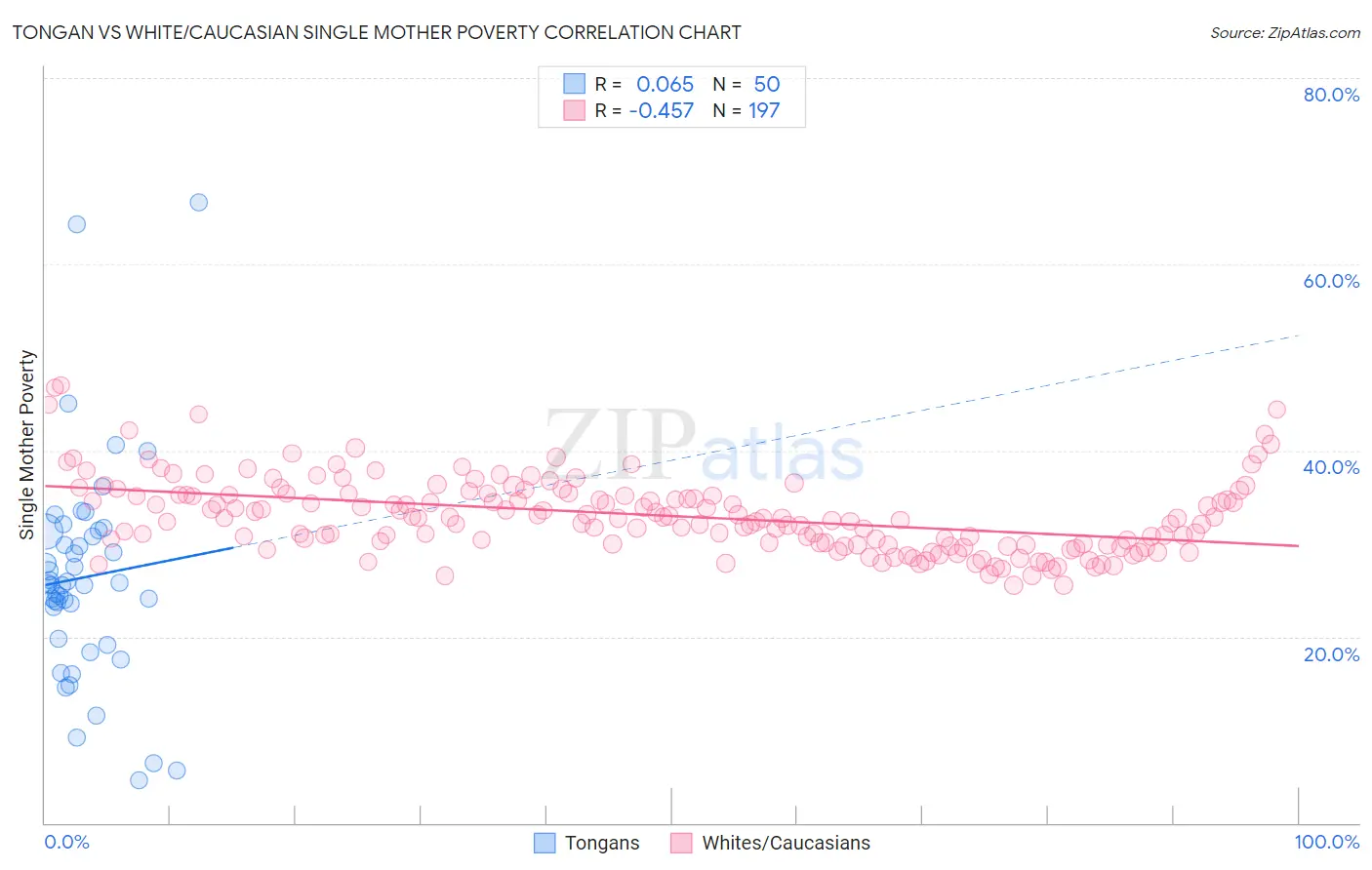 Tongan vs White/Caucasian Single Mother Poverty