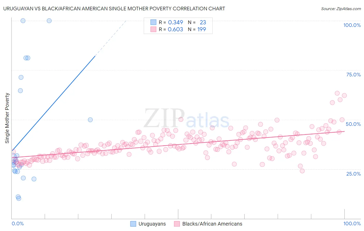 Uruguayan vs Black/African American Single Mother Poverty