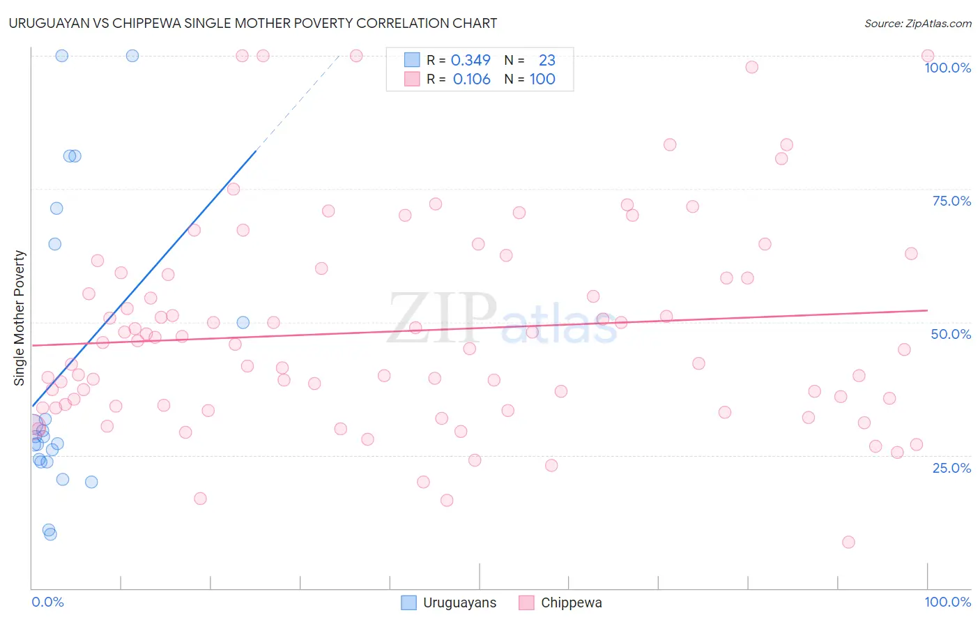 Uruguayan vs Chippewa Single Mother Poverty