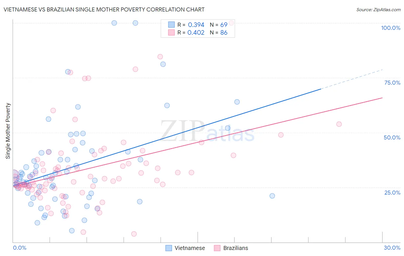 Vietnamese vs Brazilian Single Mother Poverty