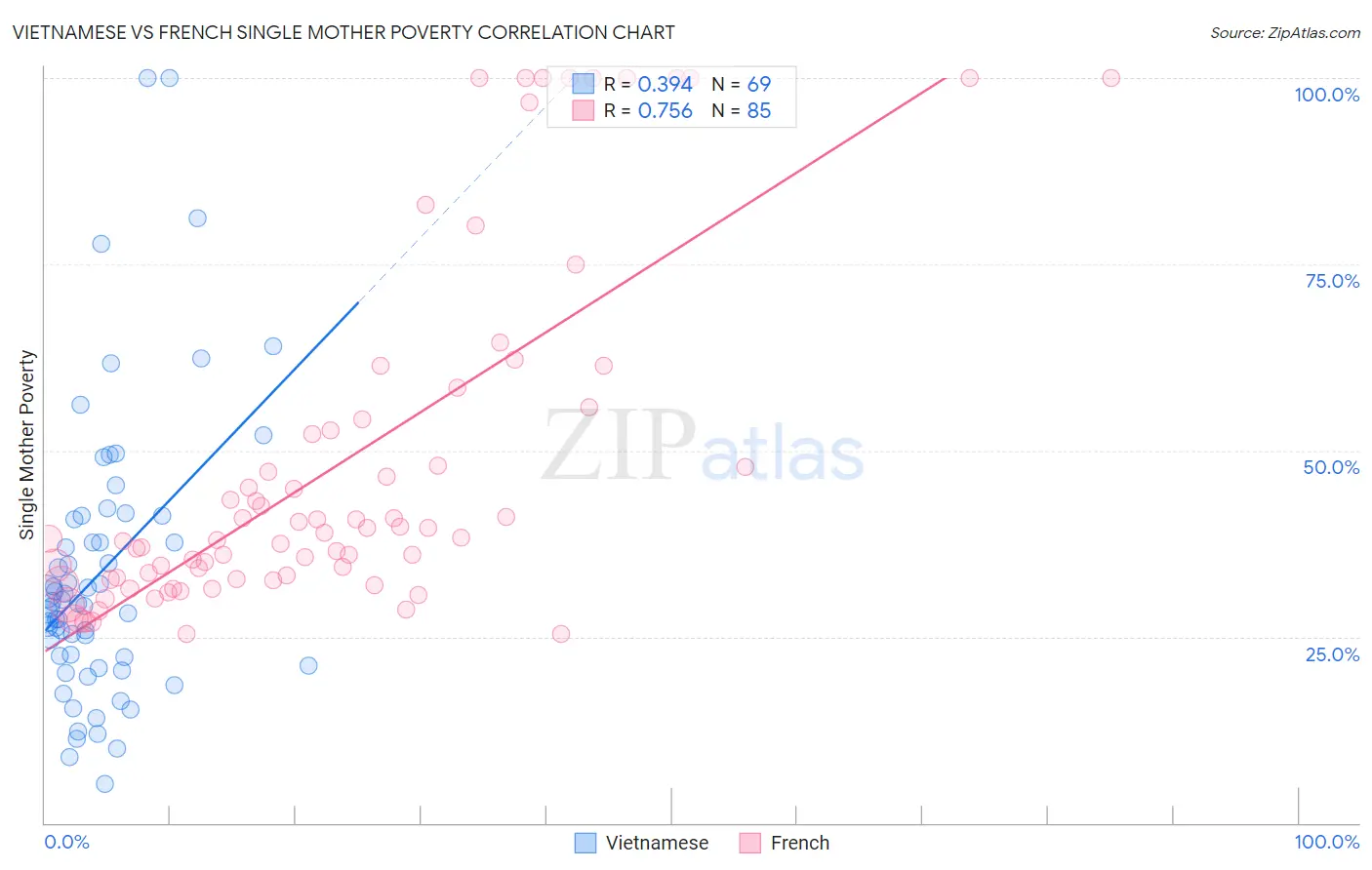 Vietnamese vs French Single Mother Poverty
