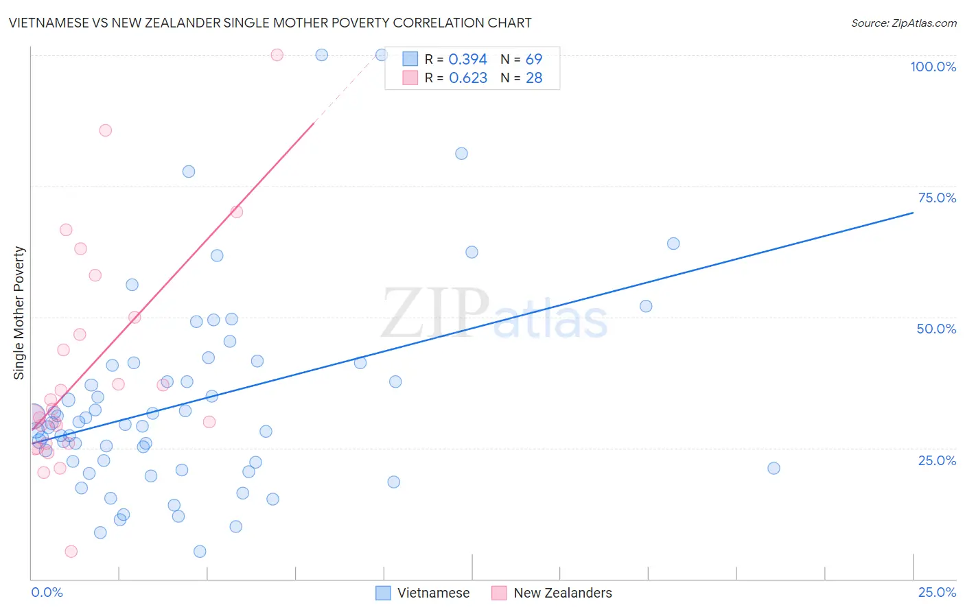 Vietnamese vs New Zealander Single Mother Poverty