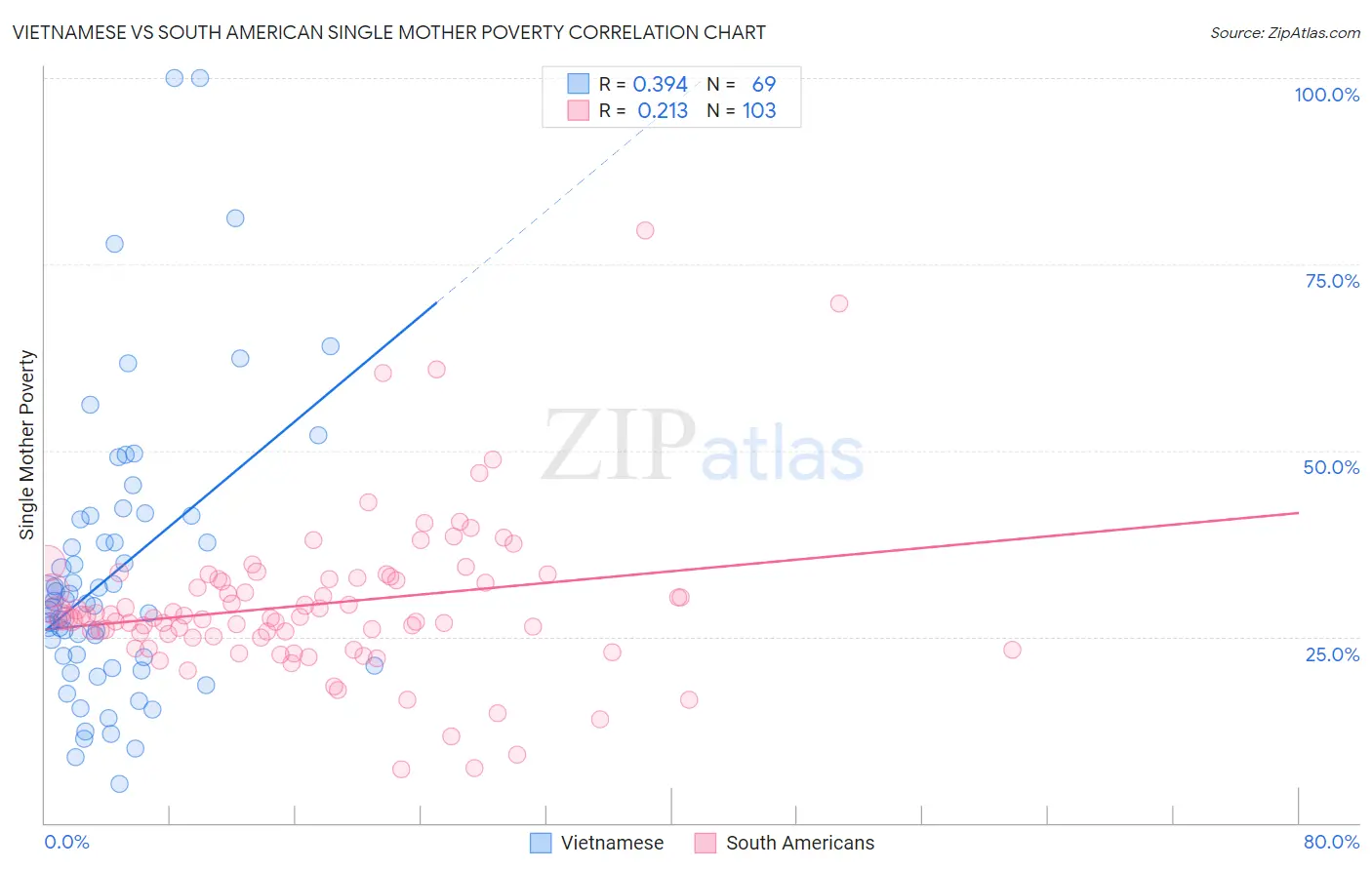 Vietnamese vs South American Single Mother Poverty