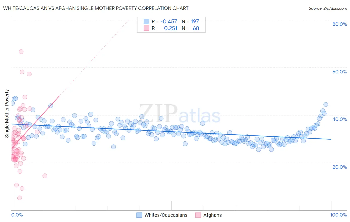 White/Caucasian vs Afghan Single Mother Poverty