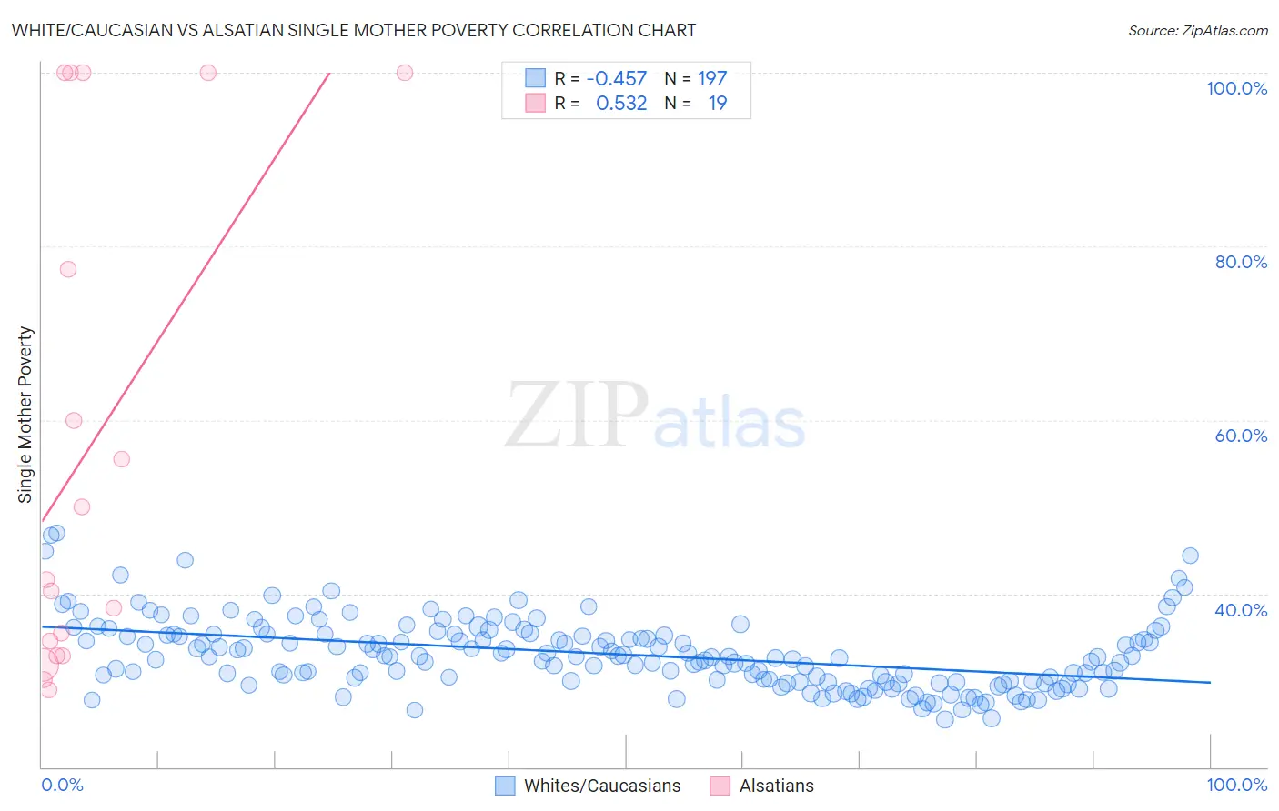 White/Caucasian vs Alsatian Single Mother Poverty