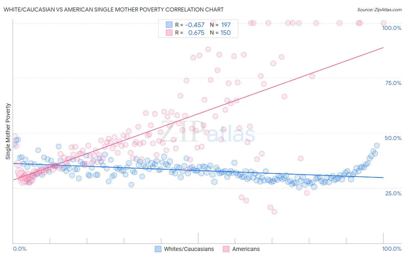 White/Caucasian vs American Single Mother Poverty