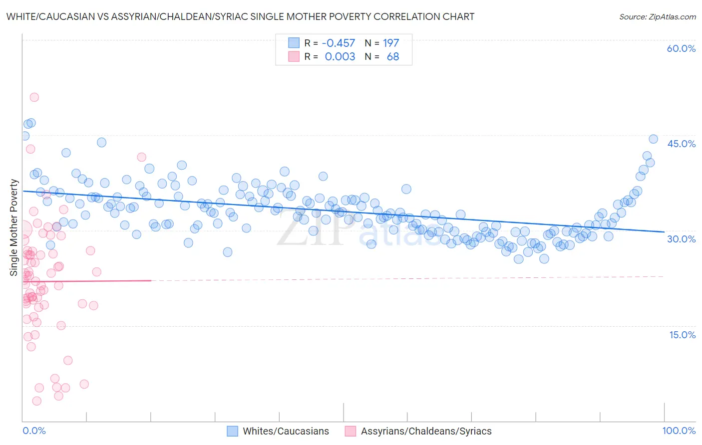 White/Caucasian vs Assyrian/Chaldean/Syriac Single Mother Poverty