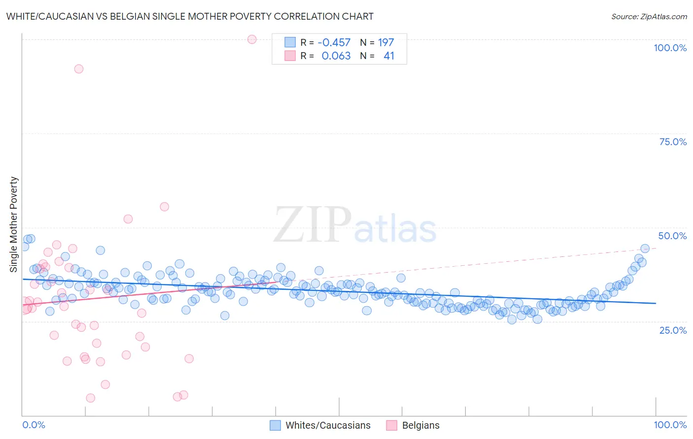 White/Caucasian vs Belgian Single Mother Poverty