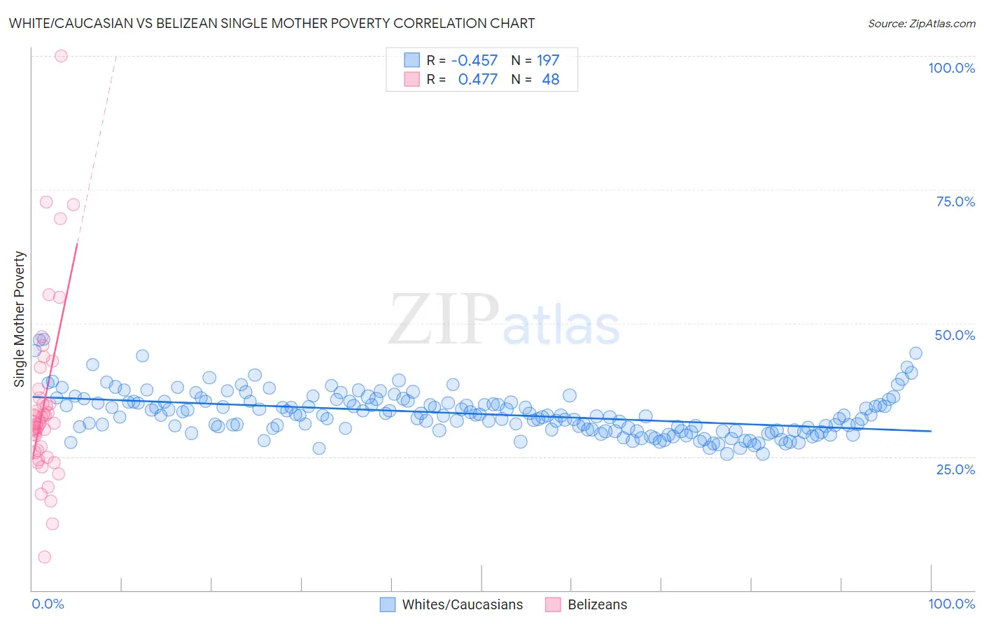 White/Caucasian vs Belizean Single Mother Poverty