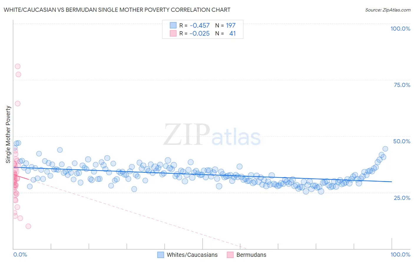 White/Caucasian vs Bermudan Single Mother Poverty