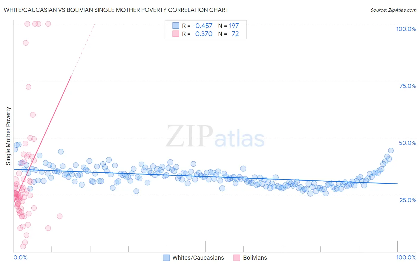 White/Caucasian vs Bolivian Single Mother Poverty