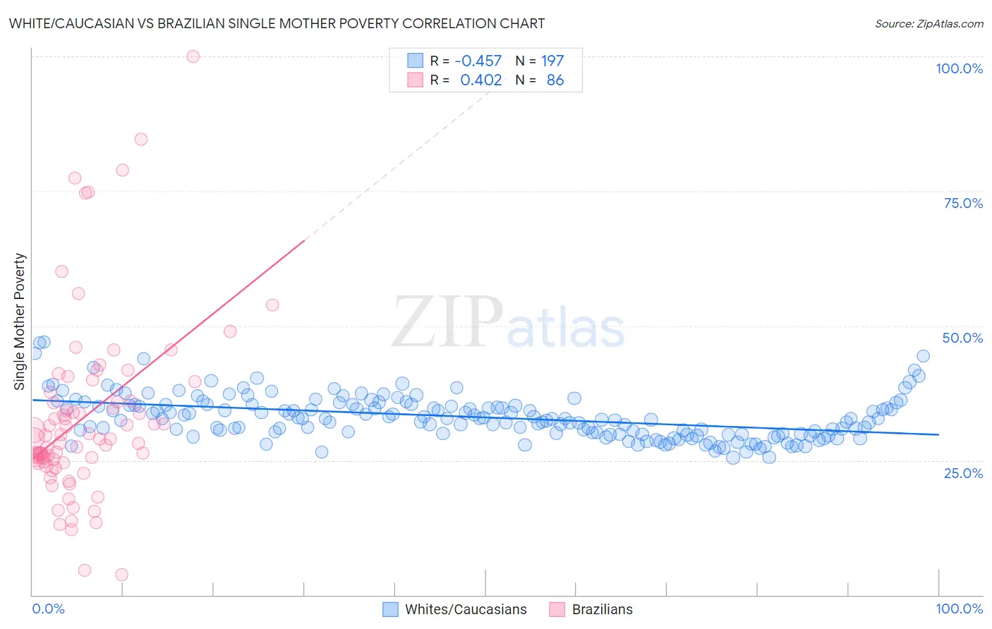 White/Caucasian vs Brazilian Single Mother Poverty